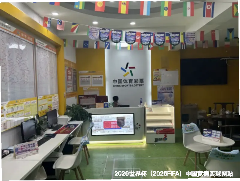 未来愿景与发展方向